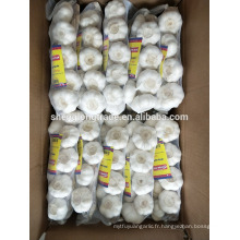 Tresse d&#39;ail blanc pur 500 g * 20 / carton Chine Jinxiang ail frais